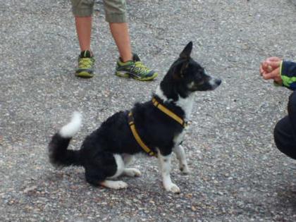 Lena 3 Jahre sucht Traumzuhause