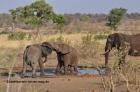 Reitferien in Südafrika Südafrika Rundreise mit Möglichkeiten von Reittouren